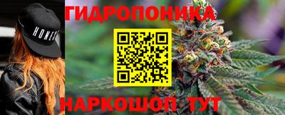 прущий лед Новозыбков