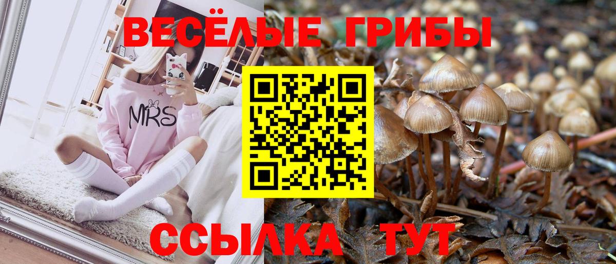 Галлюциногенные грибы прущие грибы Урай